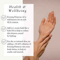 Absolute Aromas Evening Primrose (Oenothera Biennis) Oil 50ml - Pure, Natural, Cold-Pressed, GMO-Free Vegan and Cruelty Free – Moisturising Carrier Oil for Body and Facial Massage.