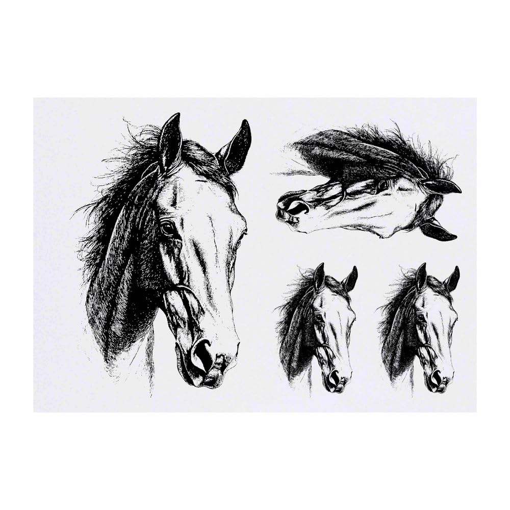 Azeeda 4 x 'Horse Portrait' Temporary Tattoos - Water Resistant, Skin-Safe, Non-Toxic Transfers, Mixed Sizes (TO00082082)