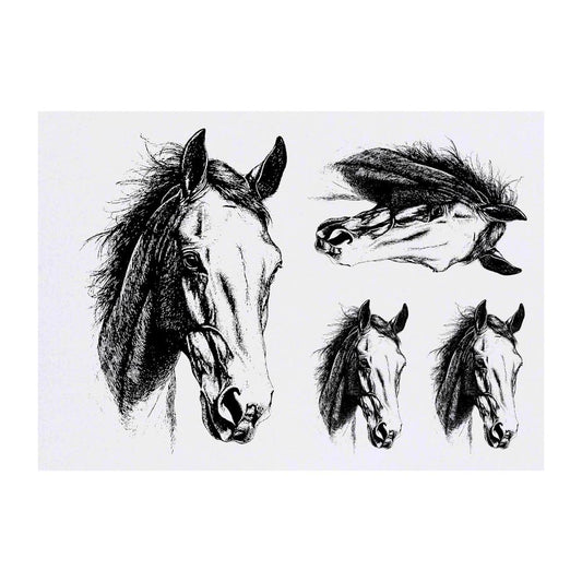 Azeeda 4 x 'Horse Portrait' Temporary Tattoos - Water Resistant, Skin-Safe, Non-Toxic Transfers, Mixed Sizes (TO00082082)
