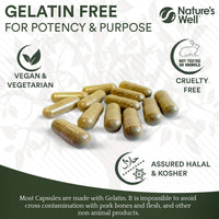 Nature's Well Vegan Multivitamins & Minerals with High Strength B12, D3 & K2, 90 Capsules – Halal & Kosher, Made in UK by Nature’s Well, Designed for Vegans & Vegetarians - Pouch