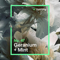 INEOS Skin Science - All Day Freshness With Provitamin B5 Body Wash Geranium + Mint - With SkinActiv Cooling Tech™ - Plant Powered 300ml