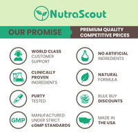 NutraScout Paracel Intestinal Guard | Intestinal Cleanse for Humans | Wormwood, Black Walnut, Clove, Garlic & More | 60 Capsules (Non-GMO)