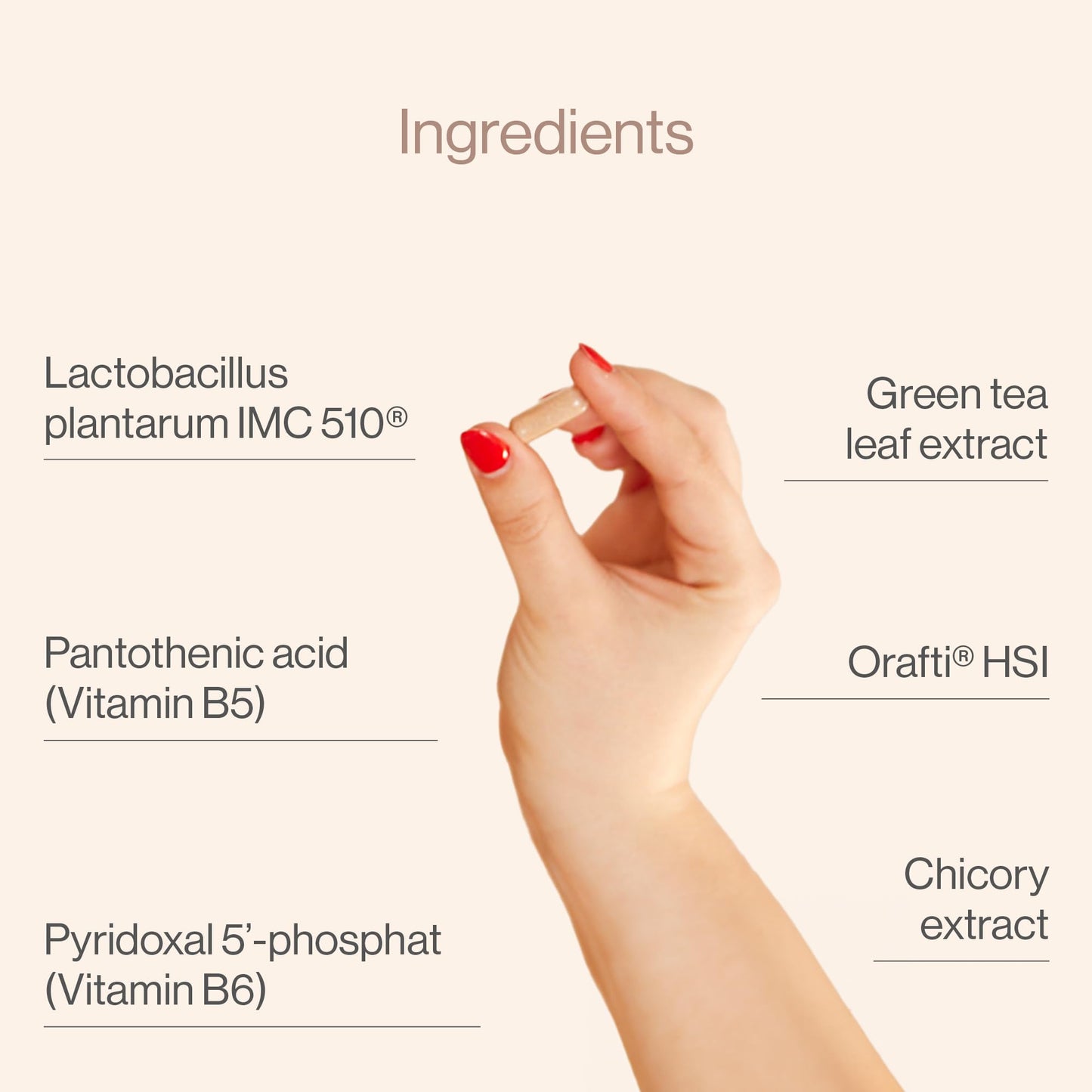 Probiotics with 15 Billion CFU per Capsule, Green Tea, Inulin, Chicory, Vitamin B6 and B5, Digestive Enzyme Supplement - 60 Days Supply - Flatten That Tummy by TummyTox