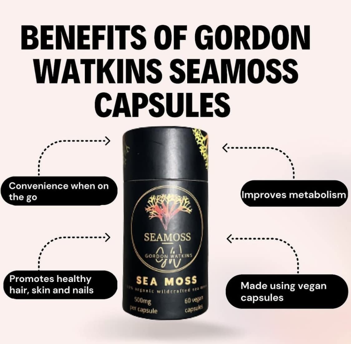 Gordon Watkins Sea Moss Capsules (1000mg per Day) | 60 Vegan Capsules | Wildcrafted Sea Moss from Grenada (Also Known as Irish Moss) | Non GMO | Dr Sebi Approved (Sea Moss)