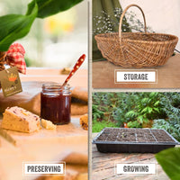 Nutley's 100ml Cardboard Plastic Free Shaker Tubes (10)