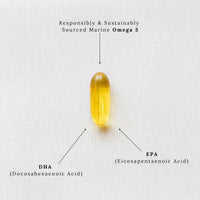 GP Gabriela Peacock Nutrition GP Nutrition The Omega - Omega 3 Fish Oil, EPA & DHA Nutritional Supplement - Sustainably Sourced, 28 Capsules