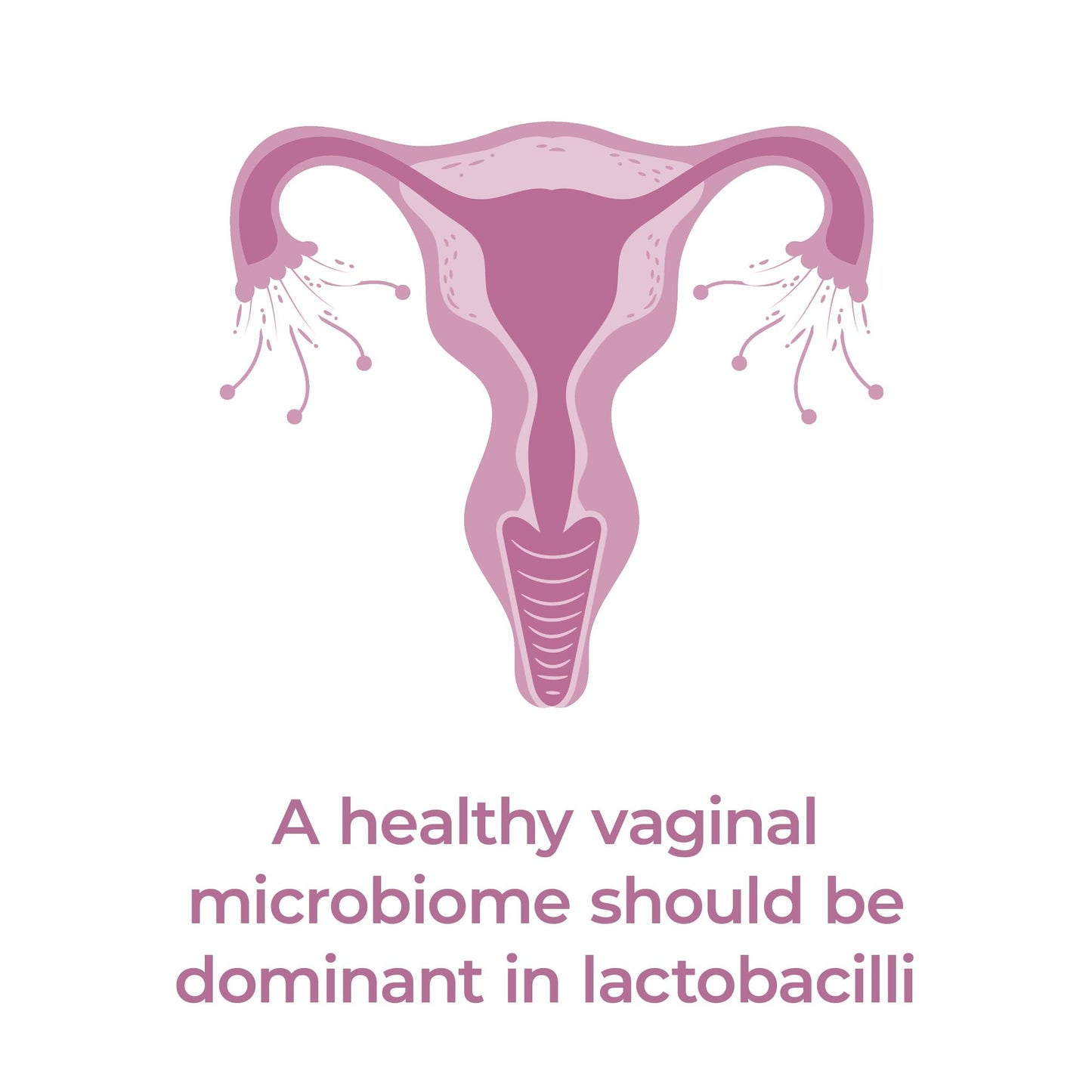 PrecisionBiotics Daily Women's Flora - Probiotics for Women - with Unique Astarte and LA-5 Bacterial Culture Strains - 30 Oral Capsules