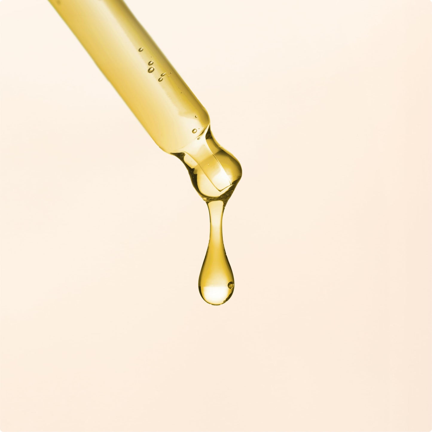 ARGANICARE Arganicare | Macadamia range | REPAIR SHAMPOO | With organic Macadamia oil | Cleans & Protects | Fight against split ends | High hydration | 400mL