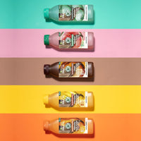 Garnier Fructis Hair Food C6341700 Vegan Papaya Repairing Shampoo 350 ml