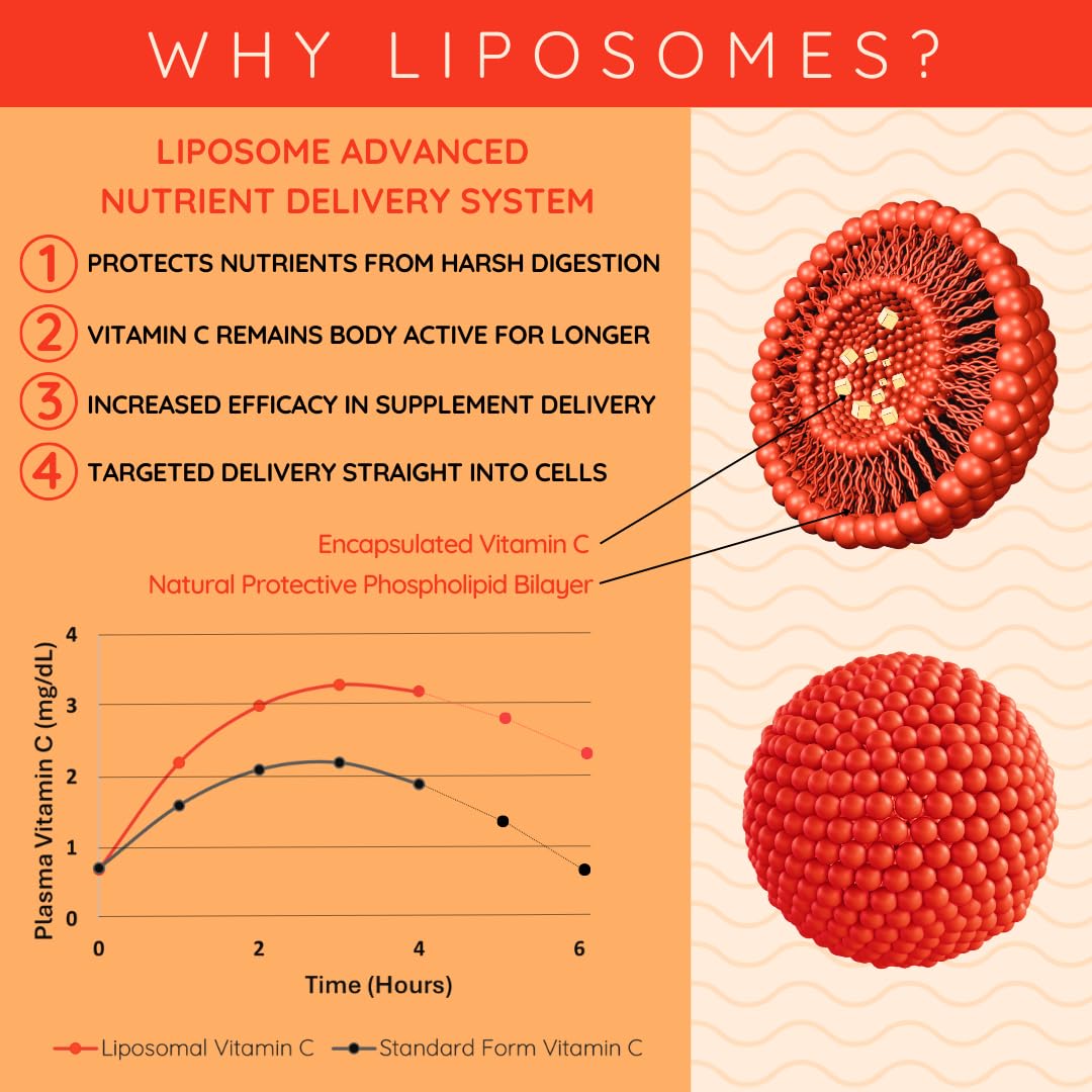 WELL ACTUALLY Liposomal Vitamin C 1000mg Sachets - High Bioavailability Liquid Vitamin C Supplement - Supports Immunity, Skin, Brain, Joints, Energy - Vegan (Packs of 5 Sachets)