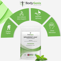 Bodygenix Spearmint Leaf Capsules - 500mg Hormonal Balance Digestive Health Fatigue & Stress Relief Support Antioxidant Formula Natural Food Supplement - 60 Capsules 2 Month Supply