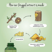 Vegavero Guggul Capsules 7500 mg | from 15:1 Extract | Dried Resin | NO Additives | Lab-Tested | 120 Capsules | Vegan