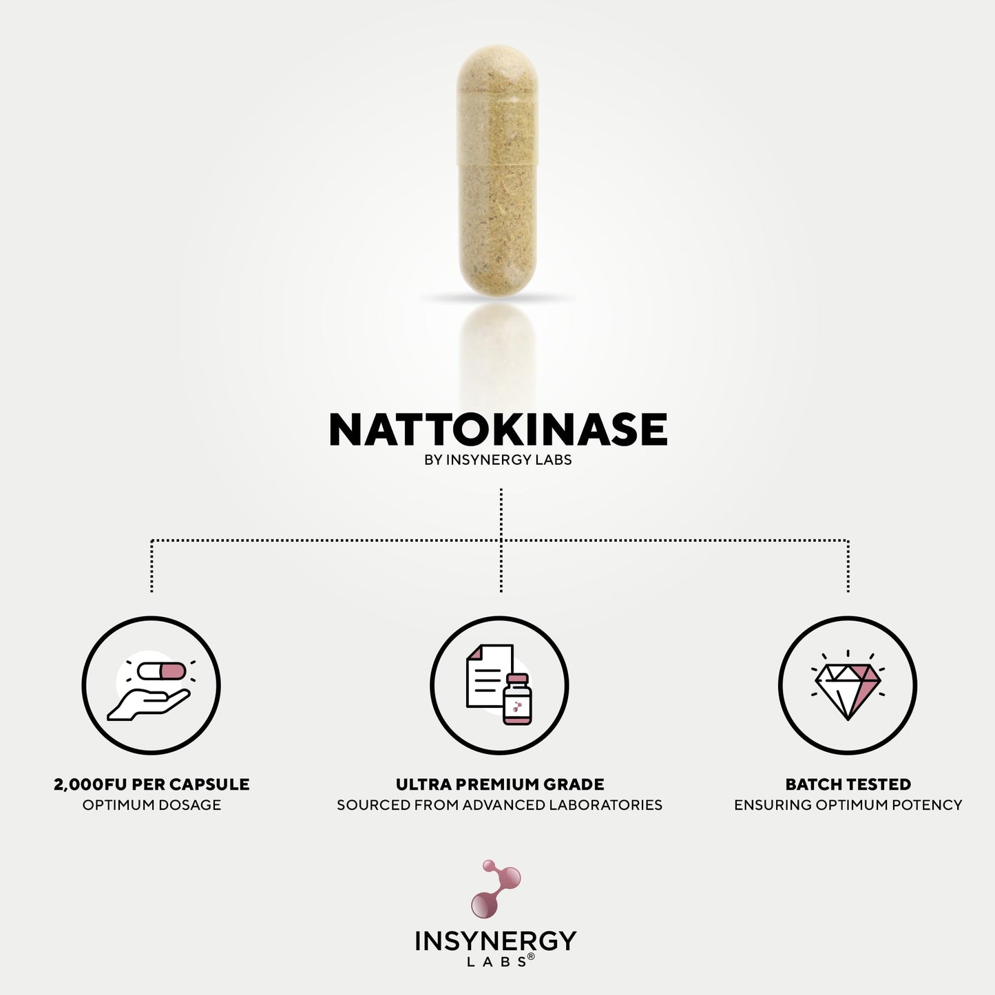 Insynergy Labs Nattokinase 2,000FU High Strength (Japan Sourced) Fermented Natto Ultra-Premium Grade 3rd Party Tested (Sourced from Japan) Nattokinase Supplement, 60 Vegan Capsules