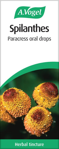 A.Vogel Spilanthes Paracress Drops | Extract of Organically Grown Spilanthes Oleracea | Suitable for Vegans | 50ml