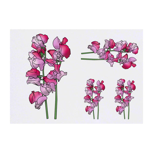 Azeeda 4 x 'Pink Sweetpea Flowers' Temporary Tattoos - Water Resistant, Skin-Safe, Non-Toxic Transfers, Mixed Sizes (TO00059124)