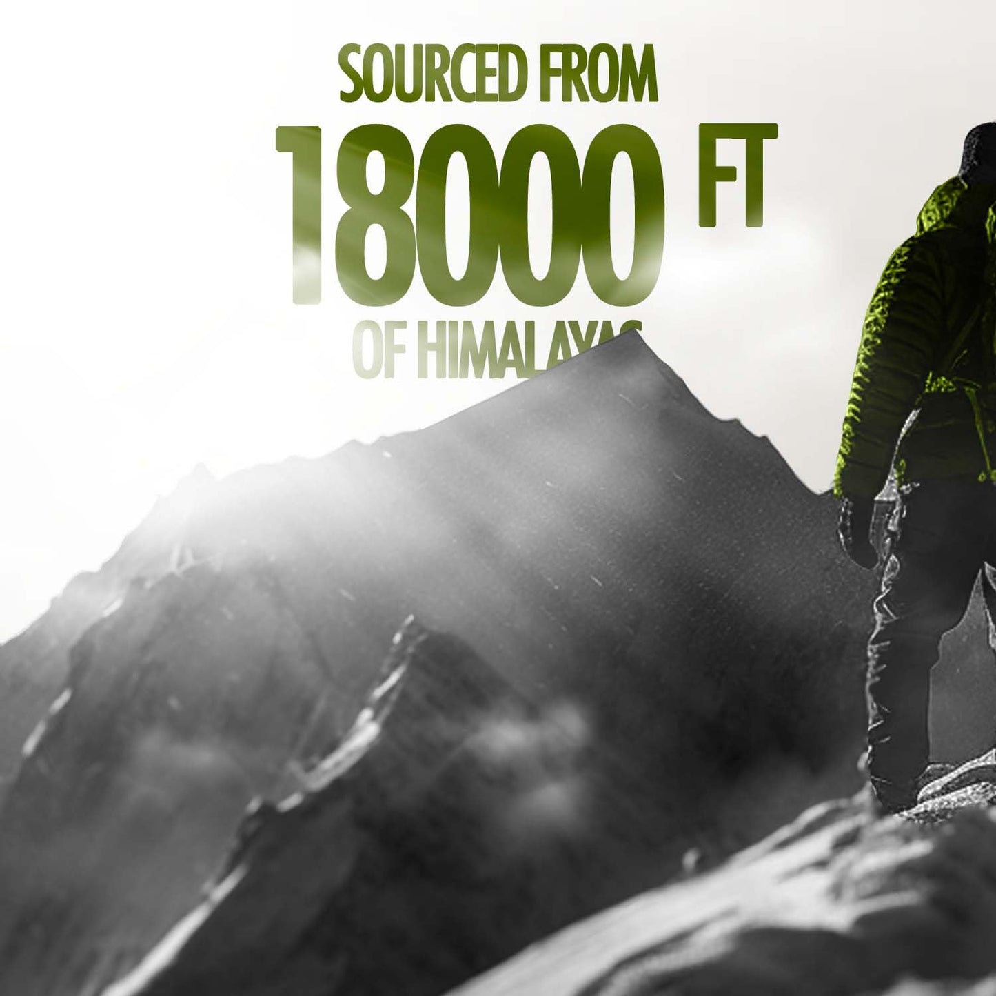 Kapiva Ayur Foods Honey Shilajit 10g