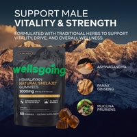 Himalayan Shilajit Gummies – 75% Fulvic Acid, Energy & Vitality Support with Ashwagandha – Daily Wellness Supplement – 60 Gummies