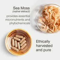 Sea Moss Capsules High Strength - Wildcrafted Irish Sea Moss Tablets - 30 Capsules One a Day - 2000mg Sea Moss Capsule - North Atlantic Seamoss Supplement - Vegan & UK Made