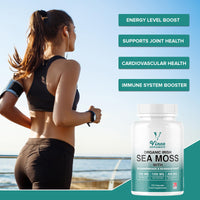 Vinco Supplements Organic Irish Sea Moss Capsules with Bladderwrack & Burdock Root - Sea Moss Supplement, Organic Sea Moss 1200mg, Bladderwrack 1200mg & Burdock 400mg per Serving - Gluten Free, Non-GMO (120 Capsules)