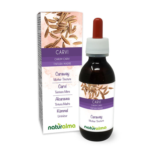 Caraway (Carum carvi) Fruits Alcohol-Free Mother Tincture Naturalma - Liquid Extract Drops 120 ml - Food Supplement - Vegan