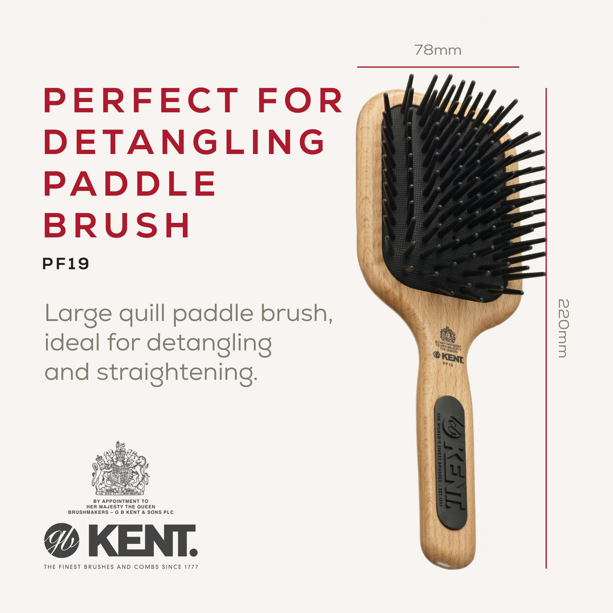 KENT Kent Maxi-Phat Detangling Hair Brush - PF19 (PACK OF 1)