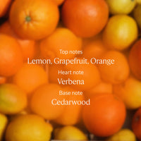 L'OCCITANE - Citrus Verbena (Verveine Agrumes) Body Lotion - 250 ml - Fruity and sparkling fragrance - Made in France