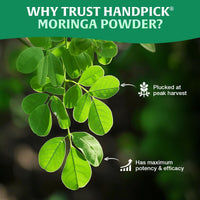 HANDPICK, Moringa Powder (500g/17.6oz) Pure Moringa Oleifera/Moringa Leaves | Resealable Zip Lock Pouch | Perfect for Cooking, Smoothies, Lattes & Moringa Tea