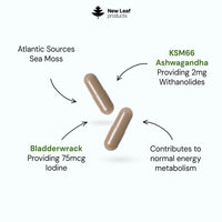 NEW LEAF PRODUCTS Sea Moss Complex - Pure Irish Sea Moss Capsules with Bladderwrack & KSM Ashwagandha - High Strength Seamoss Capsule - 120 Fill Vegan Irish Seamoss Capsules Made in The UK By New Leaf