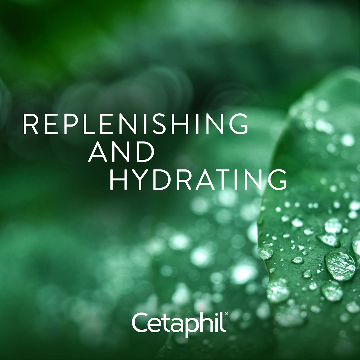 Old Version, Cetaphil Rich Night Cream 50g