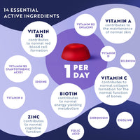 Multivitamin Gummies for Women and Men - 120 Vegan Gummies (4 Month Supply) - 14 Essential Vitamins & Minerals - Vitamin C A D B12 Biotin Zinc - Berry Flavour Chewable Adult Multi Vitamins - Nutravita