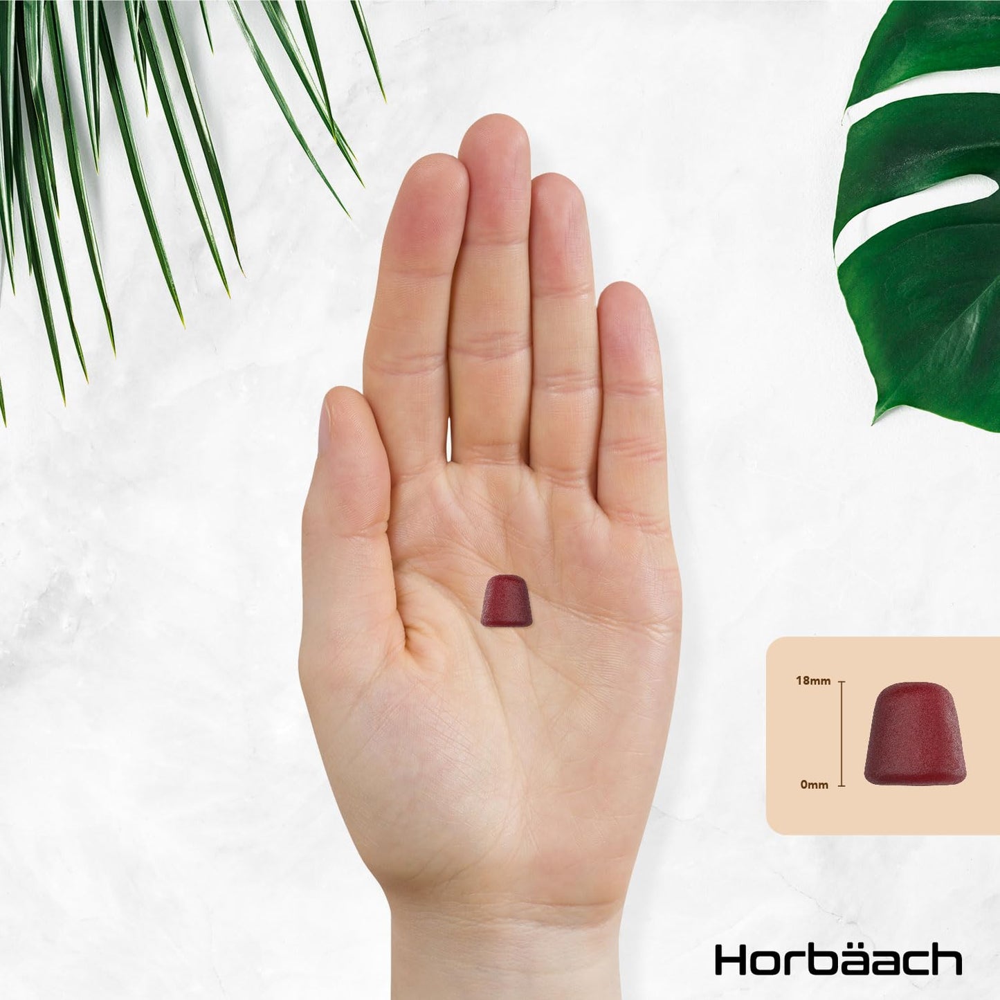 Horbäach Lions Mane Gummies 2000mg | High Strength Lions Mane Supplement | Mushroom Extract | Natural Berry Flavour | 60 Vegan Gummies | by Horbaach