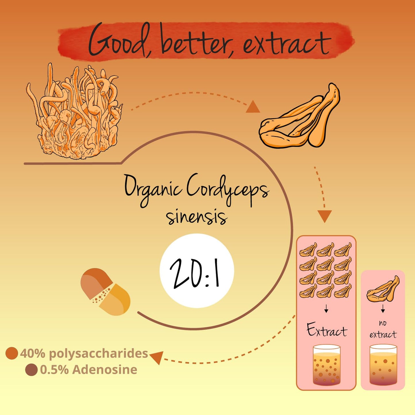Vegavero Cordyceps Sinensis Organic 13,000 mg | Mushroom Extract 20:1 | 40% Polysaccharides and 0.5% Adenosin | NO Additives | Lab-Tested | Vegan