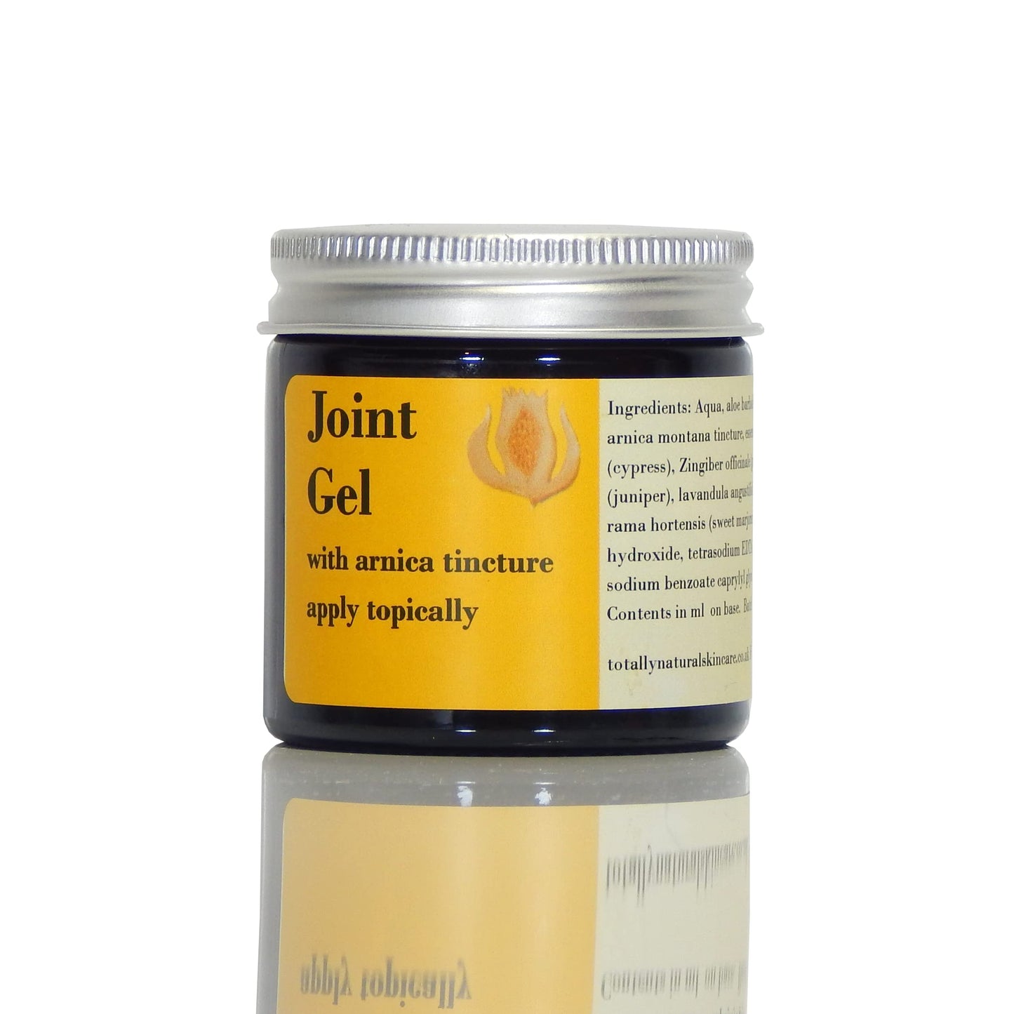 Totally Natural Skincare Joint Gel with Arnica, Aloe and Ginger (Small, 60ml)