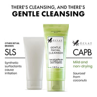 Eclat Skincare Tea Tree Gentle Facial Cleanser, All Natural Simple Face Wash with Aloe Vera, Clarifying & Deep Cleansing Foaming Facial Wash, Oily Skin Facial Cleanser, Facial Wash for Women Anti Aging