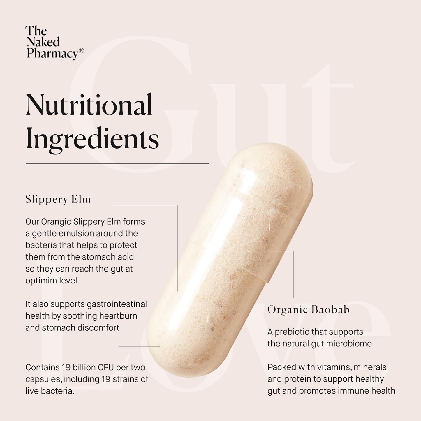 The Naked Pharmacy | Gut Love | Bloating & IBS Relief | Natural Probiotic & Prebiotic for Gut Health | High Strength | Digestive Supplements | Vegan | 60 Capsules