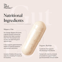 The Naked Pharmacy | Gut Love | Bloating & IBS Relief | Natural Probiotic & Prebiotic for Gut Health | High Strength | Digestive Supplements | Vegan | 60 Capsules