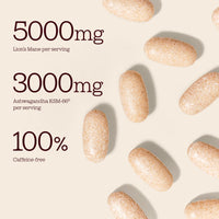 Ashwagandha KSM 66 + Lions Mane Complex | 3000mg Ashwagandha High Strength + 5000mg Lions Mane Tablets | Added Zinc + Vitamin B6 | Vegan UK Made | Free Soul