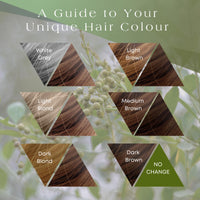 It's Pure Organic Herbal Hair Dye in Natural Brown 110g