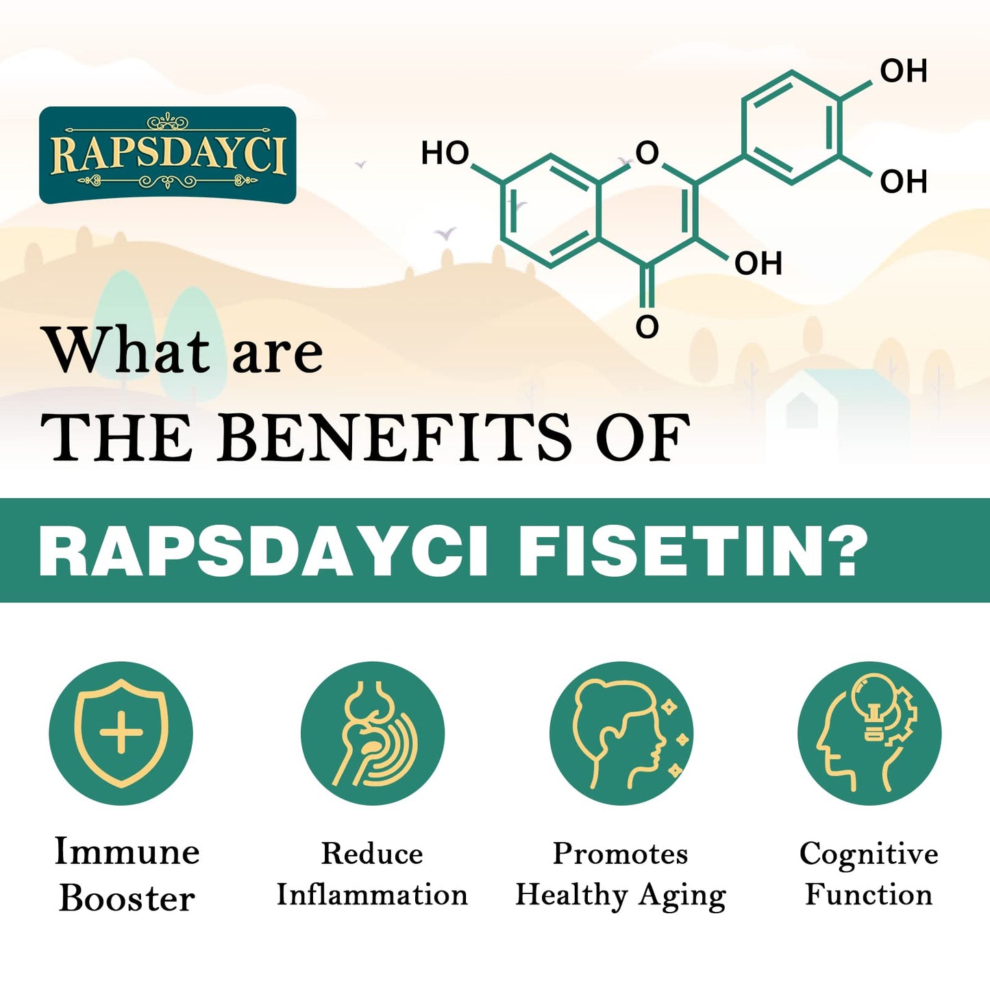 Rapsdayci Liposomal Fisetin with Quercetin - High-Potency 1000mg Combo Antioxidant Supplement for Optimal Health - 60 Softgels Per Bottle (Pack of 2)