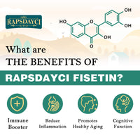 Rapsdayci Liposomal Fisetin with Quercetin - High-Potency 1000mg Combo Antioxidant Supplement for Optimal Health - 60 Softgels Per Bottle (Pack of 2)