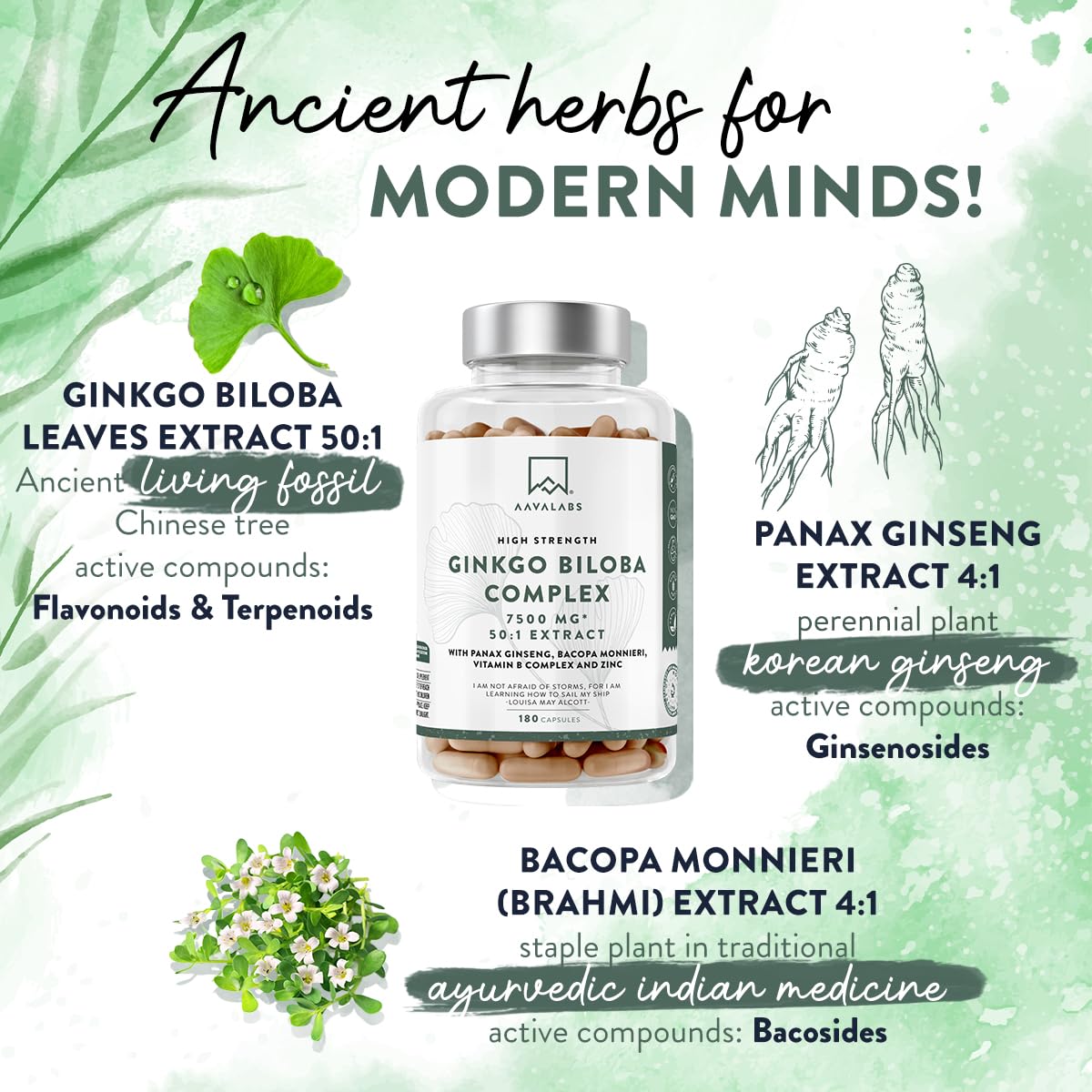 AAVALABS Ginkgo Biloba High Strength - 7500mg - 50:1 Extract - with Bacopa Monnieri, Ginseng, Vitamin B6, B1, B2, & Zinc -180 Nootropic Ginkgo Biloba Capsules - Packed with Flavonoids