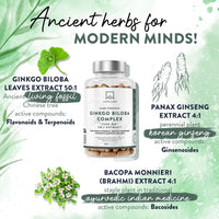 AAVALABS Ginkgo Biloba High Strength - 7500mg - 50:1 Extract - with Bacopa Monnieri, Ginseng, Vitamin B6, B1, B2, & Zinc -180 Nootropic Ginkgo Biloba Capsules - Packed with Flavonoids