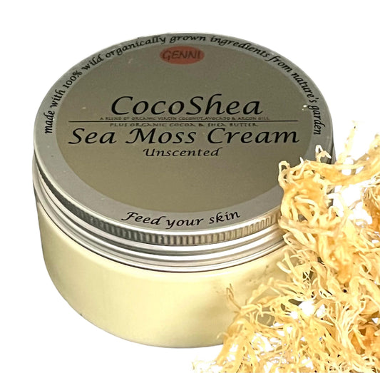 Cocoshea Sea Moss Cream | Nourishing and Moisturinsing | Made with Sea moss, Cocoa & Shea butters, Argan, Advocado Coconut oils | Unscented | Vegan & Animal freindly Skincare