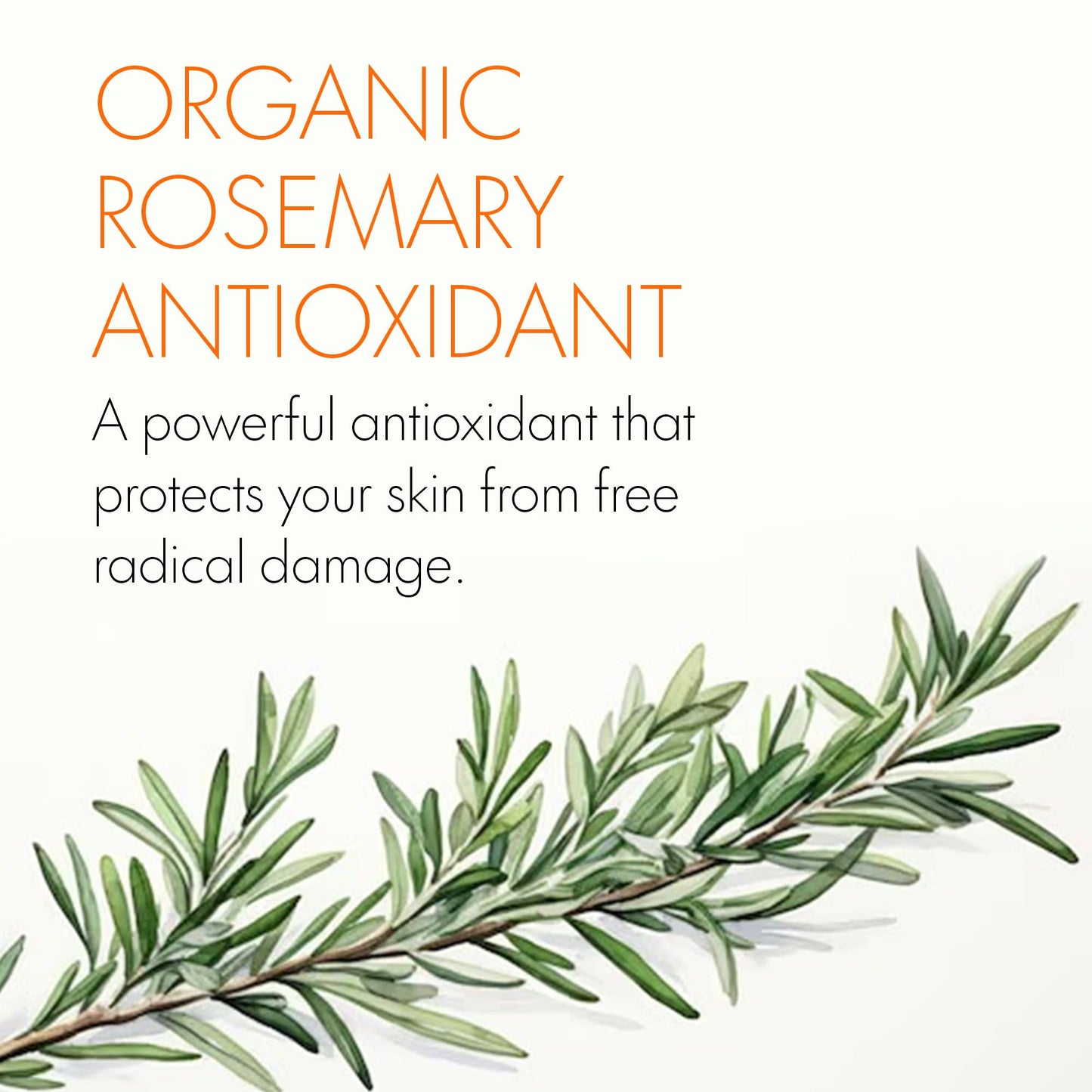 Oil works Oil Works Face Serum with 20% Vitamin E, Organic Jojoba Oil and Frankincense - Moisture locking. Anti Ageing Handmade Face Oil for a Healthy Glow - Paraben, Synthetics-free Facial Oil