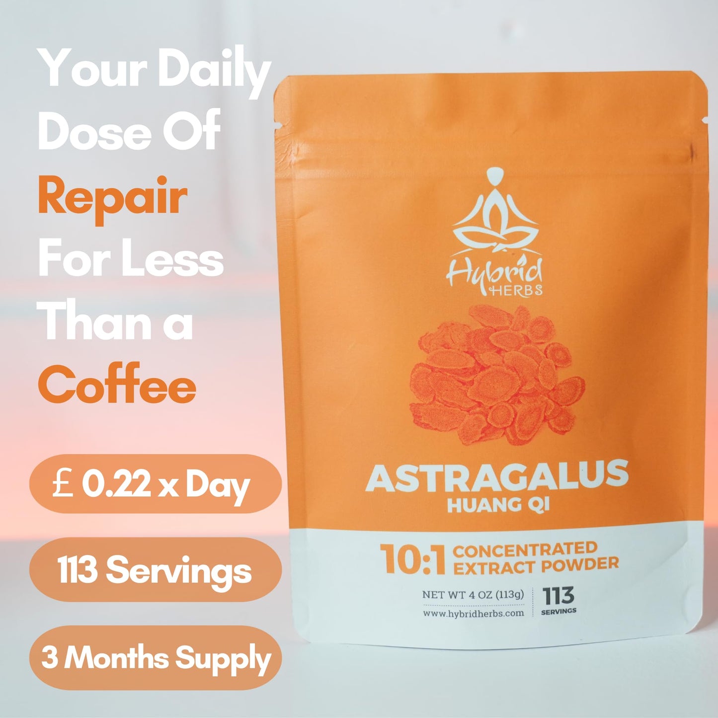Hybrid Herbs HYBRID HERBS - Astragalus Powder | High Potency Supplement - 113 Servings (113g)