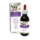 Goat's rue (Galega officinalis) herb with Flowers Alcohol-Free Mother Tincture Naturalma - Liquid Extract Drops 120 ml - Food Supplement - Vegan