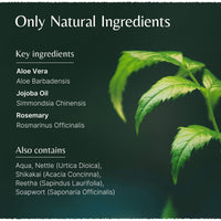 The House of Mistry Mistry's Aloe Jojoba Shampoo with Rosemary 200ml - Natural Hair Care Shampoo, Gentle, Strengthening & Nourishing - Suitable for All Ages and Hair Types, Additive Free, Vegan,