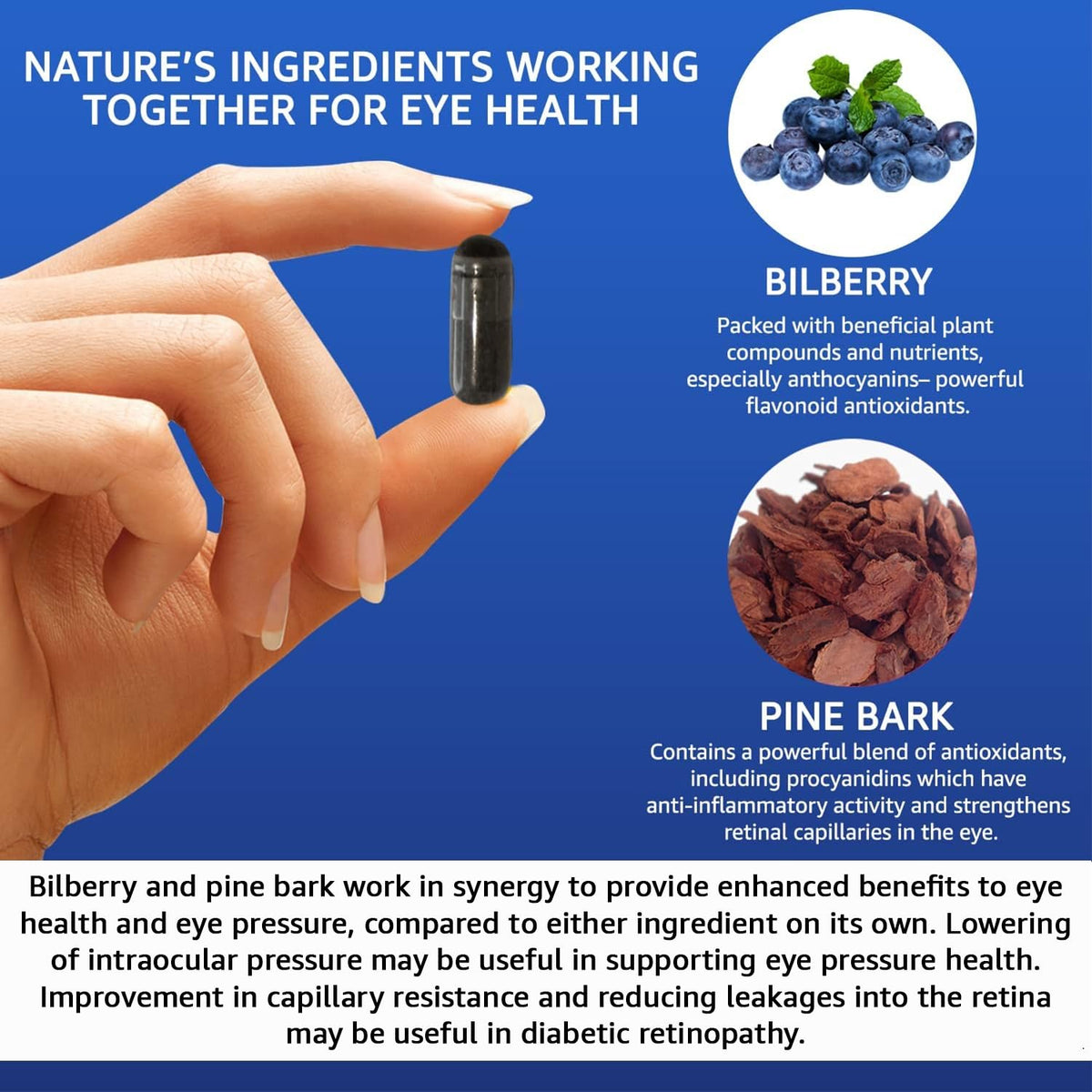 Intelligent Formula Vision Defender BP Eye Health Supplement – Eye Pressure, Circulation & Retinal Support – Plant-Based Natural Bilberry & Pine Bark Extracts Packed with Antioxidants – 60 Vegan Capsules – Made in UK