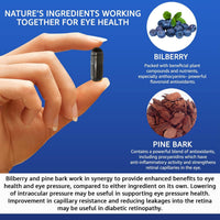 Intelligent Formula Vision Defender BP Eye Health Supplement – Eye Pressure, Circulation & Retinal Support – Plant-Based Natural Bilberry & Pine Bark Extracts Packed with Antioxidants – 60 Vegan Capsules – Made in UK