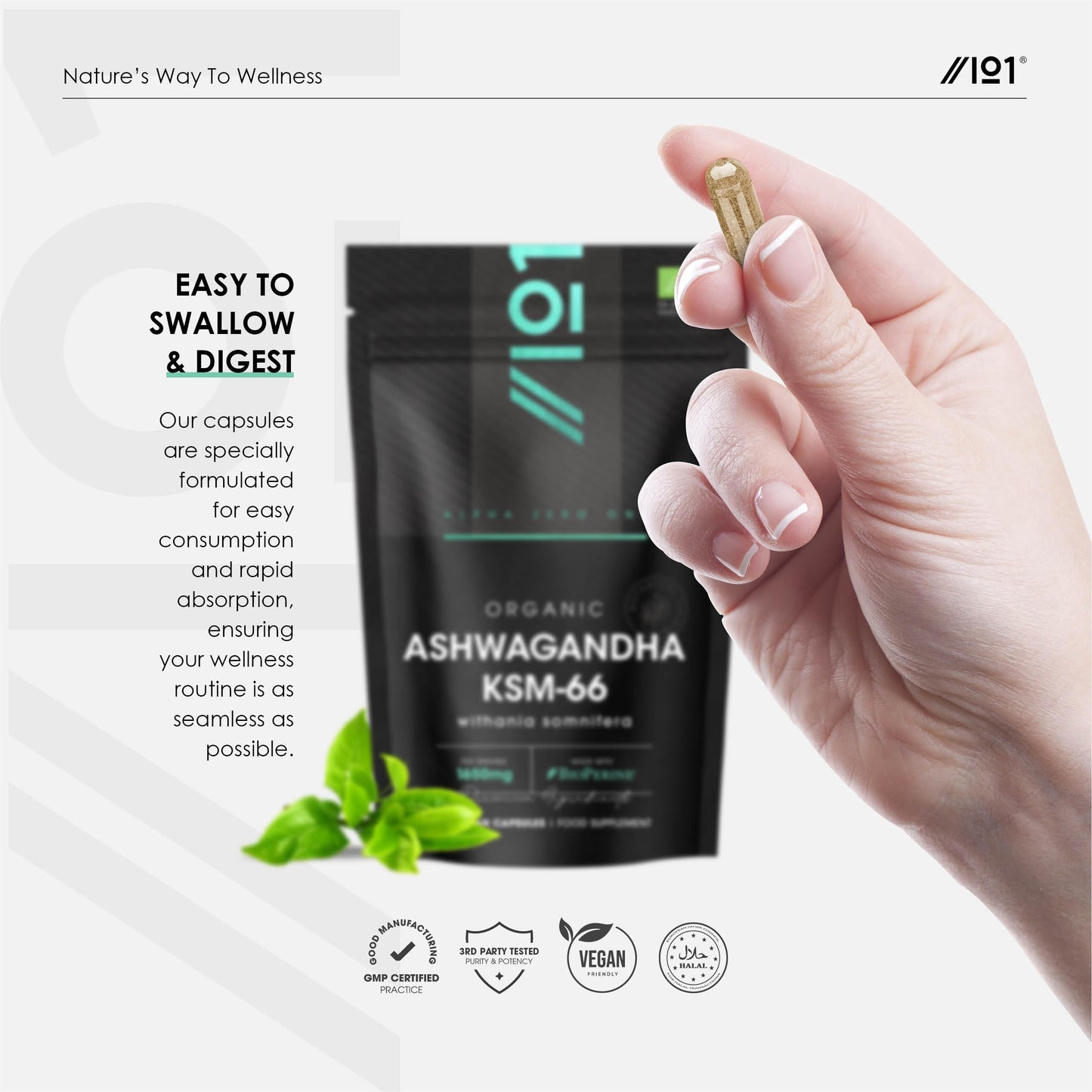 ALPHA01 Organic Ashwagandha KSM-66® 1650mg - 5% Withanolides with Black Pepper – 60 Vegan Capsules – Resealable and Recyclable Pouch by Alpha01